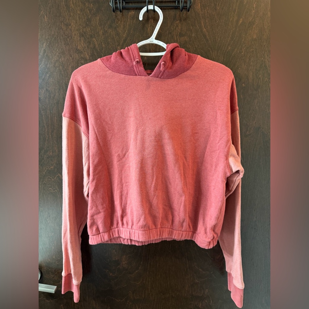 American Eagle Outfitters Cropped Hoddie